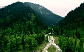 3 Nights / 4 Days Kashmir Package (6 Adults)